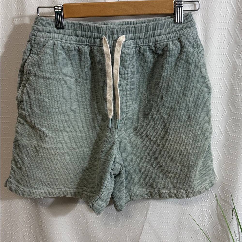 Urban Outfitters Sage Green Textured Drawstring Women’s Shorts
